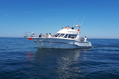 Cascais Fishing Trips with Fishing Tackle, bait and license included